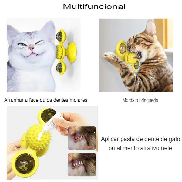 Spinner Cat Toy Fun